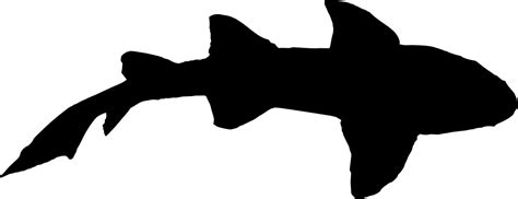 6 Shark Silhouette Png Transparent