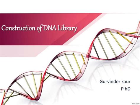 Genomic Library Construction Ppt