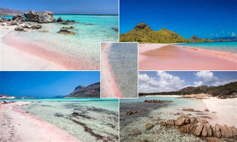 Images Reveal The Pink Beaches Around The World And Its Not A Trick