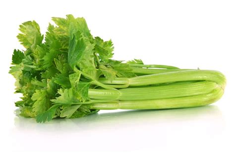 10 Benefits Of Celery Nutrition Facts And Recipes Dr Axe