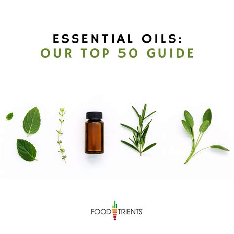 The Beauty Of Essential Oils Heres Our Guide To The Top 50 I