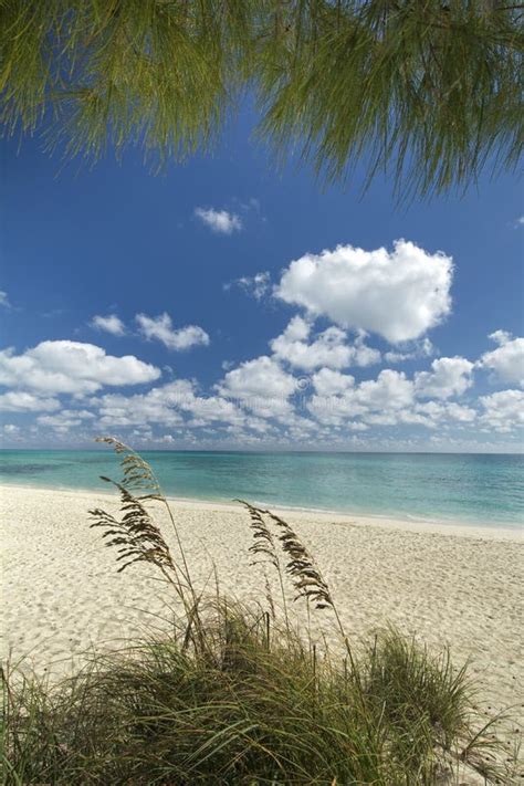 Freeport Beach Grand Bahama Island Stock Photo Image Of Relax