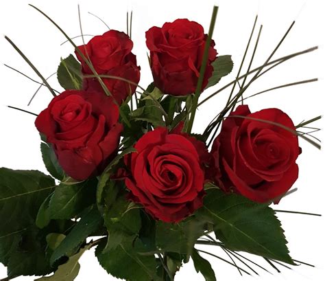 Blumenstrauß Verschicken Mit 5 Roten Rosen