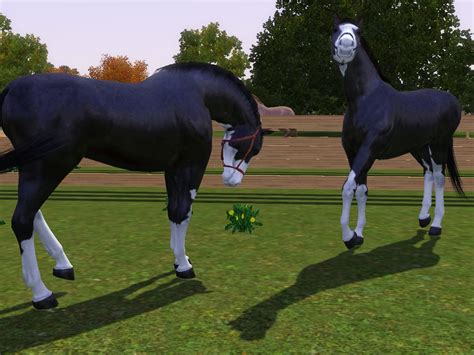 Sims 3 Horse Marking Download Splashwhiteset2 By Isolated Design On