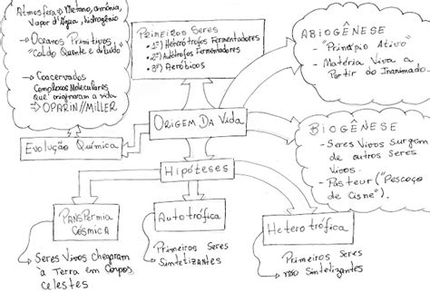 Mapa Mental Origem Da Vida