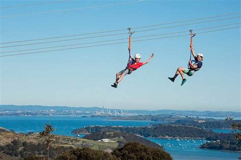 Auckland City Morning Tour With Waiheke Island Zipline