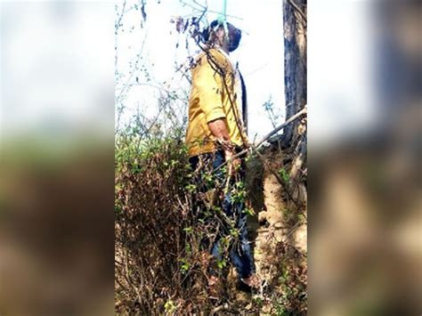 The Body Of A Youth Found Hanging From A Tree In Front Of The Court
