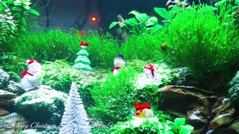 Christmas Decor Fish Tank Youtube