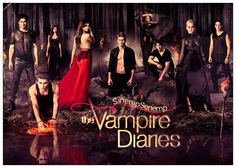 The Vampire Diaries Paul Wesleynina Dobrev Posters Vampire Diaries