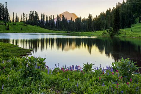 Wallpaper Reflection Wilderness Green Lake Vegetation Nature