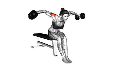Effective Dumbbell Seated Bent Arm Lateral Raise Female Video Guide