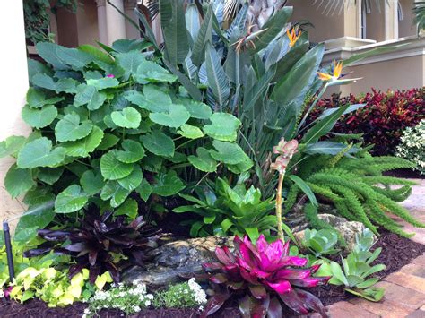 Tropical plant design | Tropical landscaping, Tropical outdoor plants, Tropical garden