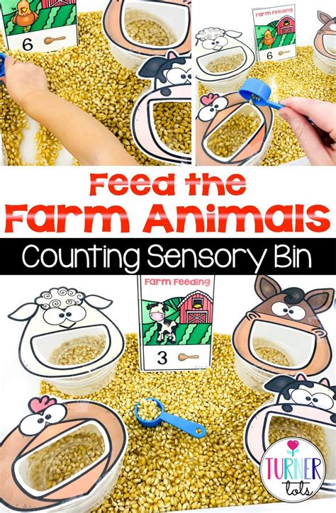 Farm Math Activities To Corral The Excitement Turner Tots Farm