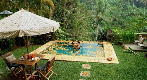 26 rainforest hotels in bali where you can bask in lush views and stay among nature