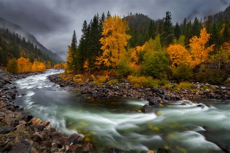 River Through Autumn Forest