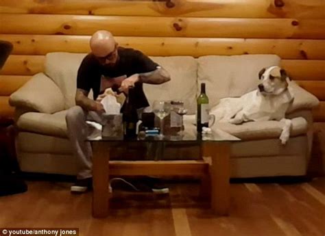 Dog Stares Longingly At His Owner Eating And Turns Away When Caught