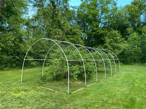 New Net And Cage For Our Blueberry Bushes 3 4 Pvc And 1 Bird Netting R Gardening