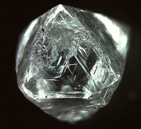 In A Natural Rough Diamond There Are So Many Things To Discover Like