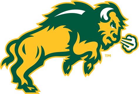 North Dakota State Bison Secondary Logo Ncaa Division I N R Ncaa N