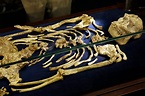 Rare ‘human ancestor’ skeleton from 3.6 million years ago found