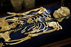 Rare ‘human ancestor’ skeleton from 3.6 million years ago found