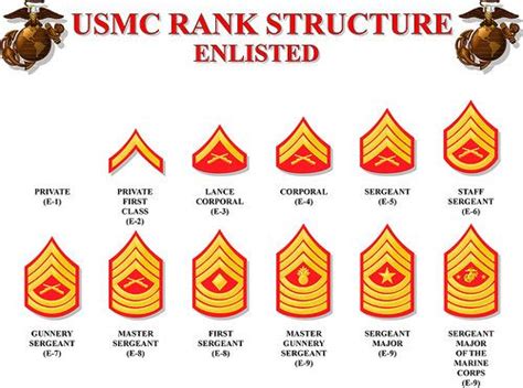 Good To Know Usmc Ranks Marine Corps Usmc