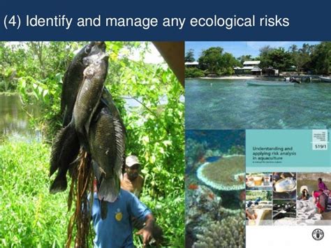 Developing Inland Aquaculture In Solomon Islands