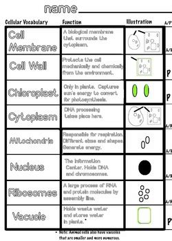 Check spelling or type a new query. Pin on Art Wizard on Teacherspayteachers.com