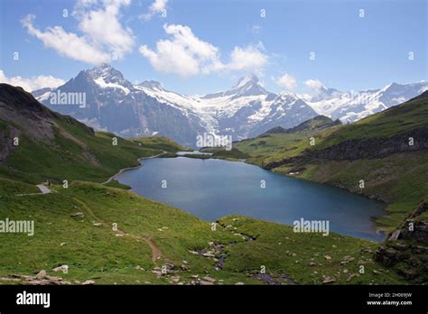 Bachalpsee Lake With Majestic Mountains Stock Photo Alamy