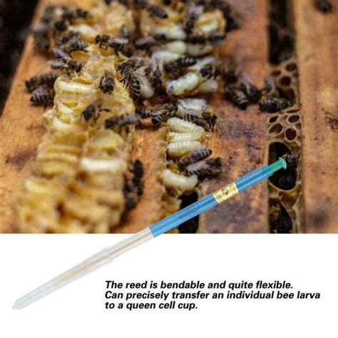 4pcs Beekeeping Honey Bee Larvae Grafting Tools For Rearing Queen Bee