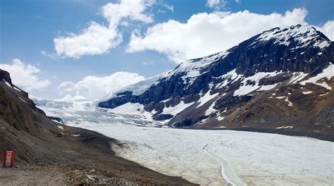Visita Glaciar Athabasca En Alberta Tours And Actividades Expediamx