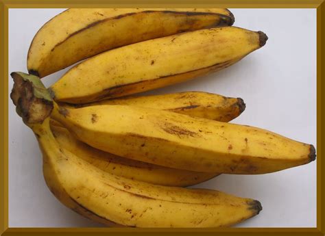 Nenthrapazham Bananas Again Called Nenthra Pazham നേന്ത് Flickr