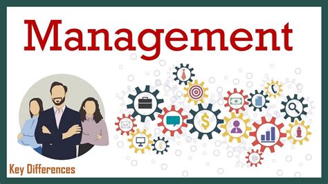 What Is Management Definition Characteristics Levels And Importance