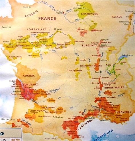 Wine French Appellations Ed Batista