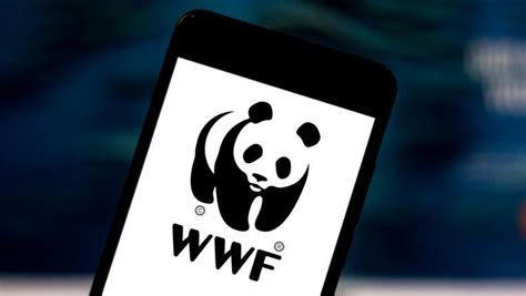 Umweltschutzorganisation Wwf Will Im Metaverse Gegen Plastikmüll Krise