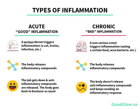 Whats The Difference Between Acute And Chronic Inflammation