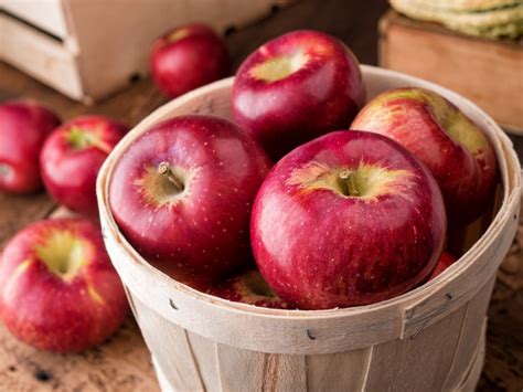 What Are Cortland Apples Learn About Cortland Apple Tree Care