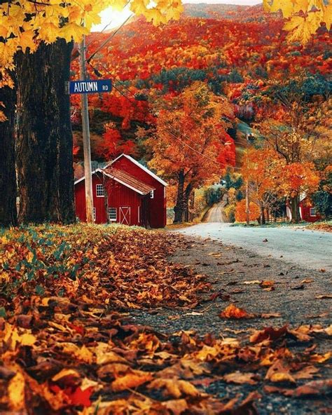 Pin By Becky Cagwin On Seasons Amazing Autumn Autumn Scenery New