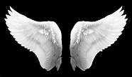 Free photo: White Angel Wings - Angel, Feathers, White - Free Download ...