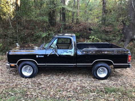 Dodge D150 Side Barn Finds