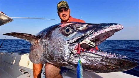 How To Catch A Dogtooth Tuna Ocean Blue Fishing