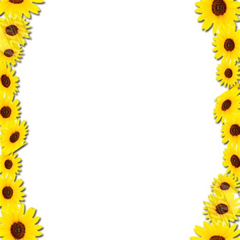Sunflower Border Frame Png Transparent Background Free Download 41034