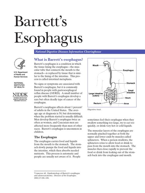 Barretts Esofagus Pdf Gastroesophageal Reflux Disease Esophagus