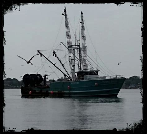 Fishing Boat Going To Bumble Bee Tuna Cannery Cape May Fishing Boats