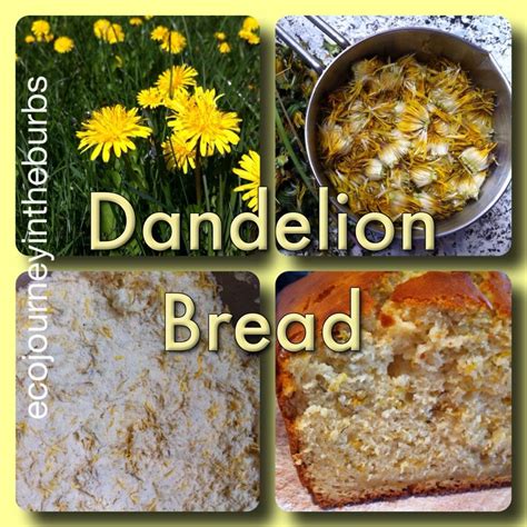 Eco Journey In The Burbs Dandelion Bread Bread Food Recipes