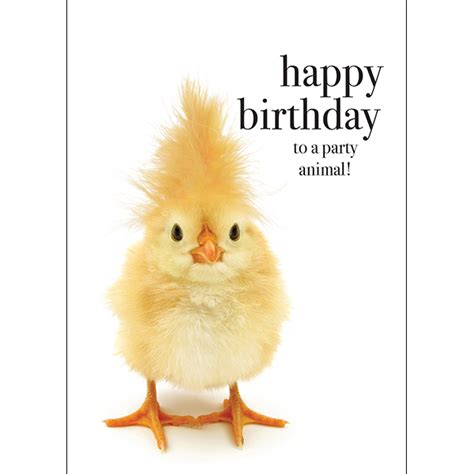 Baby Chick Birthday Card Party Animal Affirmations Publishing House
