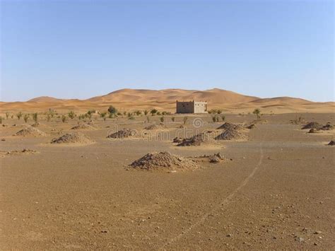 Desert Wasteland Sand Dune Sahara Stock Image Image Of Wasteland