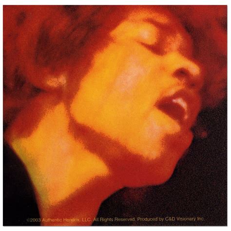 Jimi Hendrix Electric Ladyland Electric Ladyland Rock Album Covers