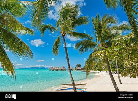 Beach Of Matira Bora Bora French Polynesia Stock Photo Alamy