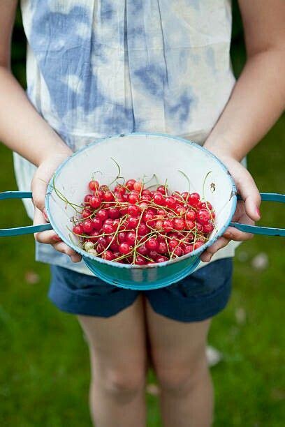 Red currants pair well with almonds, raspberries, black currants, and cherries. Pin by Melpo Siouti on Red Currants (With images ...